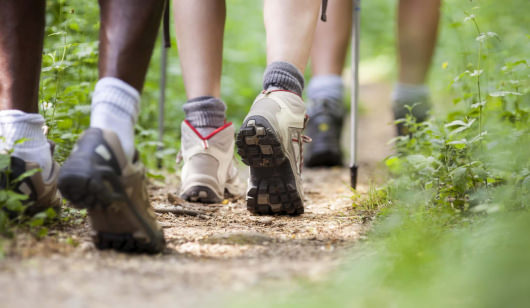 Gros plan sur les chaussures d'un groupe de randonneurs en marche.