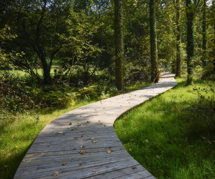 Le Blavet, chemin dans les bois