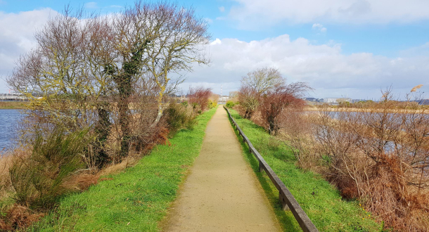 Sentier de balade à la réserve naturelle du marais de Pen Mané à Locmiquélic (Morbihan)