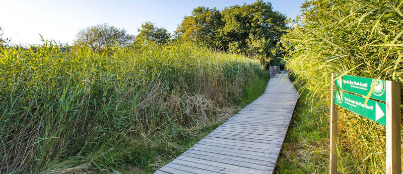 Chemin de randonnée pour balade à Pont-Scorff