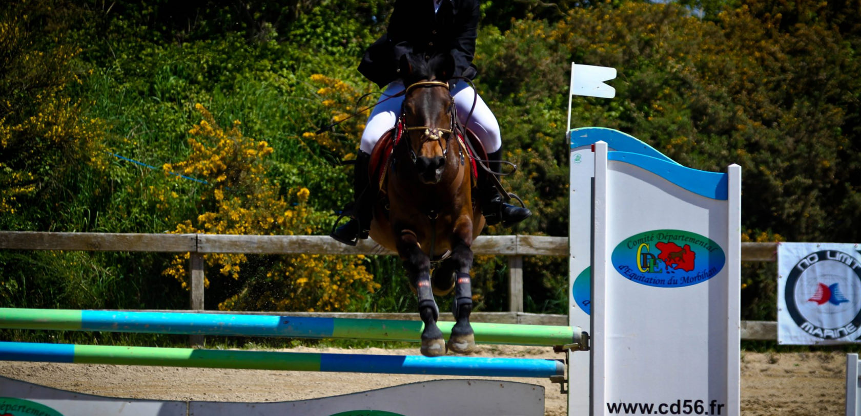 © Thomas DEREGNIEAUX. Saut d'obstacle à Kerguélen équitation, à Larmor-Plage. Saut d'obstacle à Kerguélen équitation, à Larmor-Plage