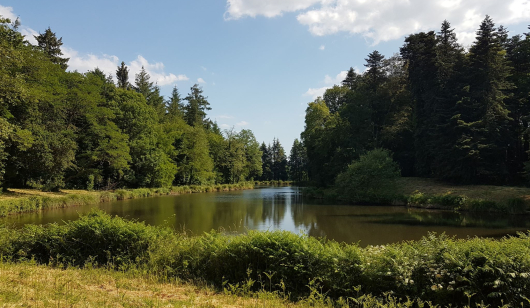 Balade dans le parc de Kerlivio à Brandérion (Morbihan)