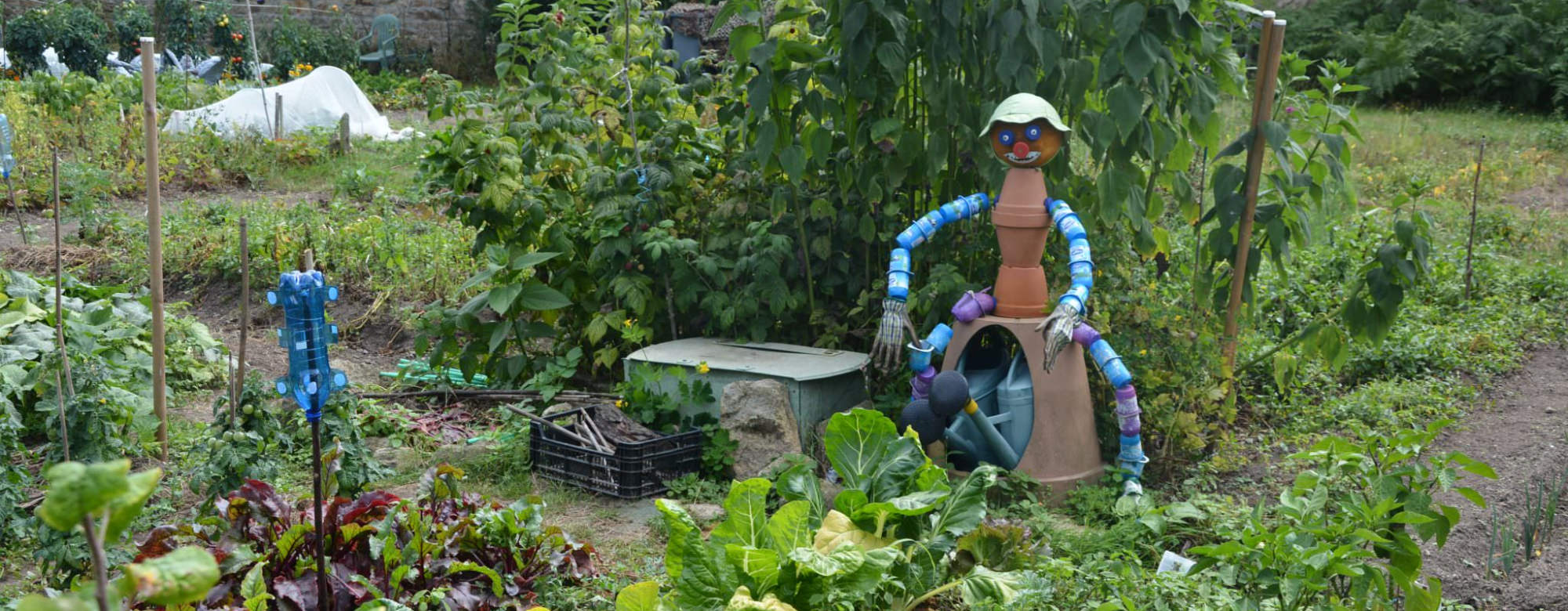 Plœmeur, potager dans les jardins partagés du domaine de Soye.