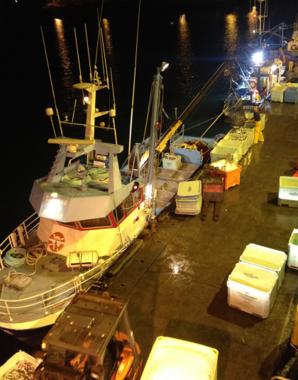 Port de pêche de Lorient, débarquement du poisson © Sylvie COGUIC