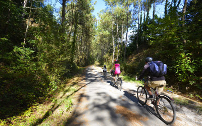 Balade en vélo sur la voie verte