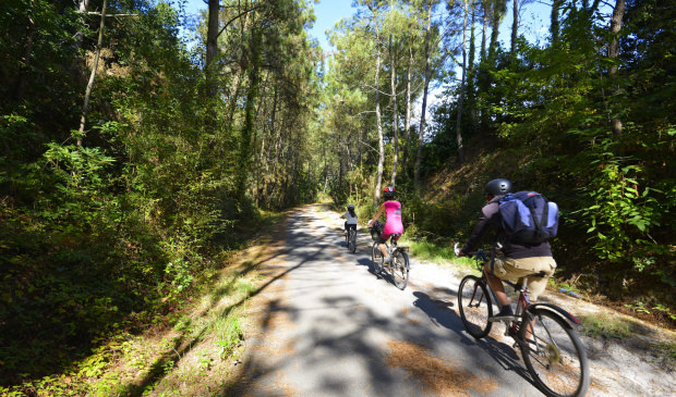 Balade en vélo sur la voie verte