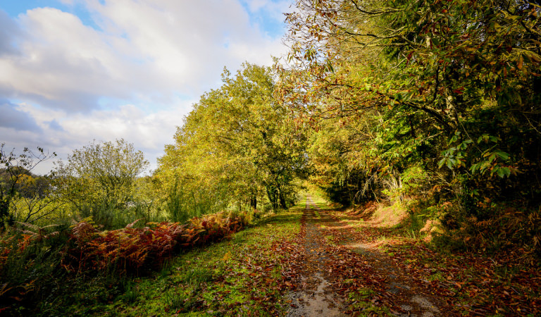 Chemin de randonnée à Caudan