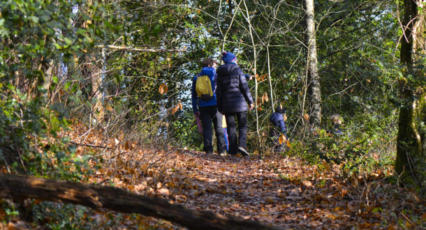 Chemin de randonnée au cimetière de bateau de Kerhevry à Lanester