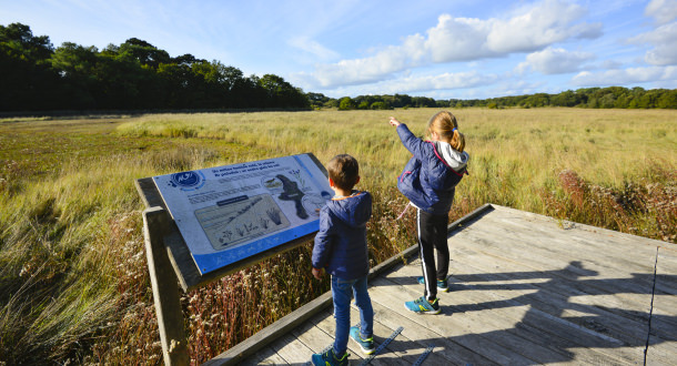 Enfants regardant au loin au Marais de la Goden de Lanester