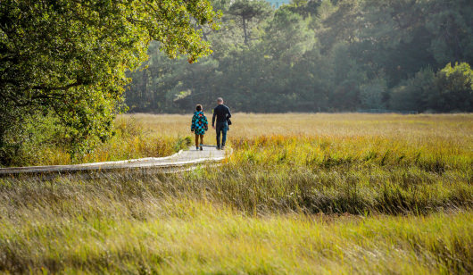 Famille sur chemin de randonnée au Marais de la Goden à Lanester (Morbihan)