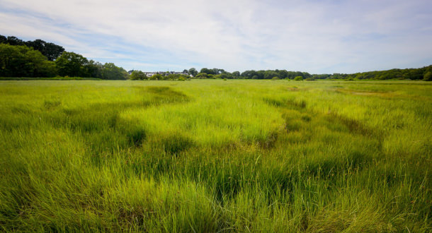 Vue du Marais de la Goden de Lanester