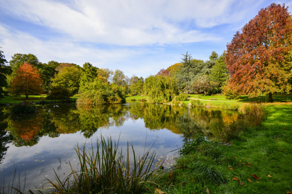 Etang du Parc du Plessis de Lanester