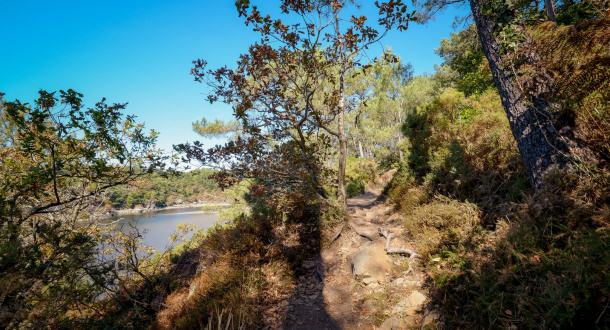 Guidel, chemin sur la Laïta vue sur rivière