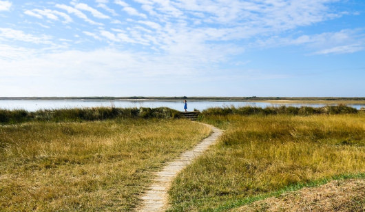 enfant balade à pied sur les sentier de la petite mer de Gâvres