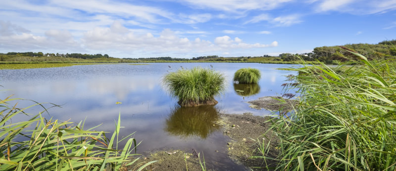 Etang de Lannenec sur la route côtière à Lorient Bretagne Sud