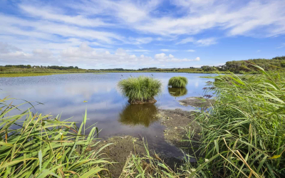 Etang de Lannenec sur la route côtière à Lorient Bretagne Sud