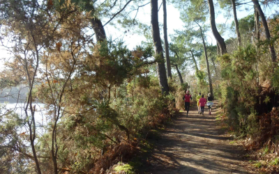 Chemin le long des deux étangs du Ter, Ploemeur (Morbihan)