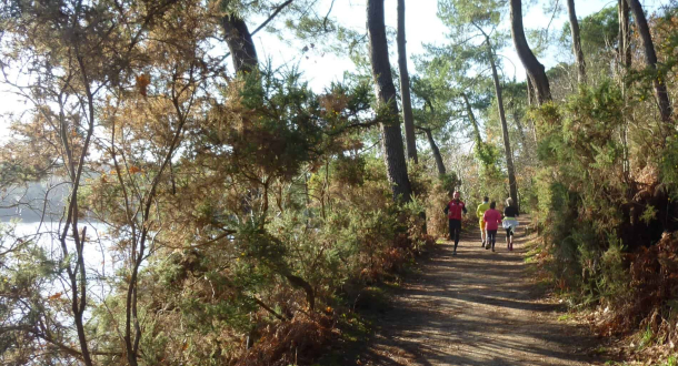 Chemin le long des deux étangs du Ter, Ploemeur (Morbihan)