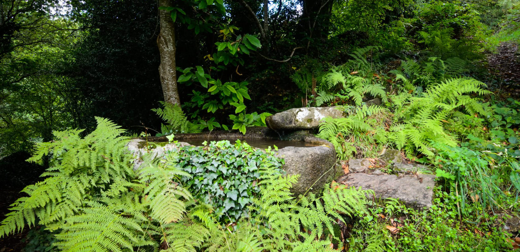 © Emmanuel LEMEE - La fontaine trou au loup, Poblei Ardran, à Quistinic. La fontaine trou au loup, Poblei Ardran, à Quistinic