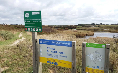 Accès côté mer à la Réserve Naturelle Régionale des Etangs du Loc'h, à Guidel (Morbihan)