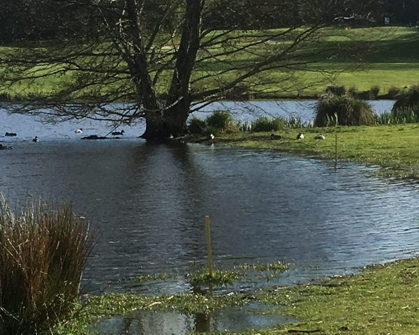 Quéven, mare du golf