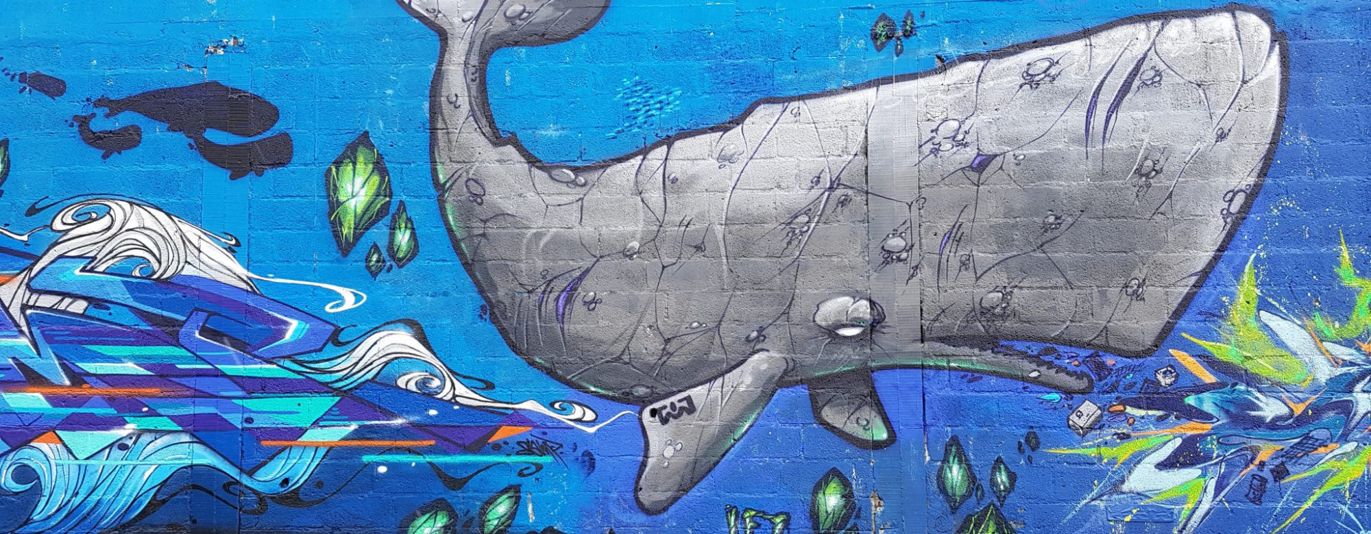 Graff d'un cachalot par LEZ et SAMP, extrait d'une fresque murale au Port de pêche de Lorient