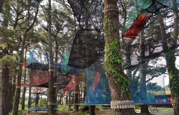 Accrobranche dans les arbres au Parcabout sur l'île de Groix