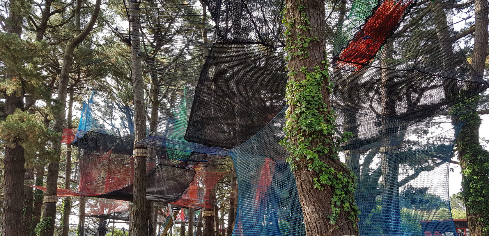 Accrobranche dans les arbres au Parcabout sur l'île de Groix