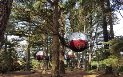 hébergement insolite, les nids dans les arbres au Parcabout sur l'île de Groix