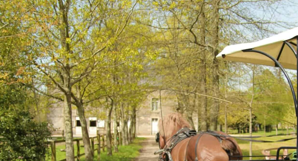 Caleche à Hennebont