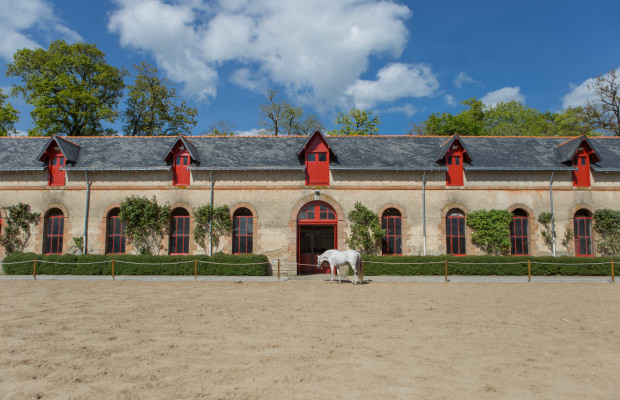 Hennebont, Haras National