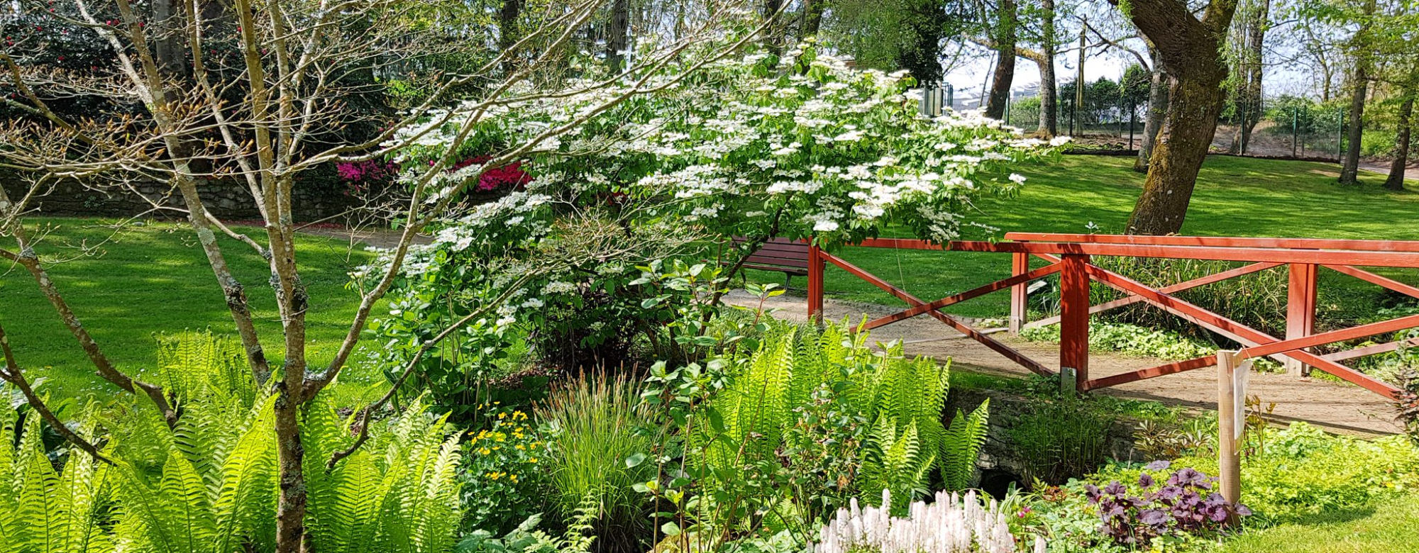 Le jardin Chevassu à Lorient (Morbihan)