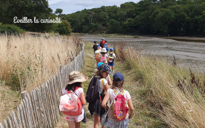 Jeu d'exploration pour un groupe scolaire sur la ria d'Etel (Morbihan)