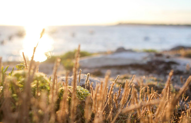 Coucher de soleil sur le littoral à Kerroc'h, Ploemeur (Morbihan)