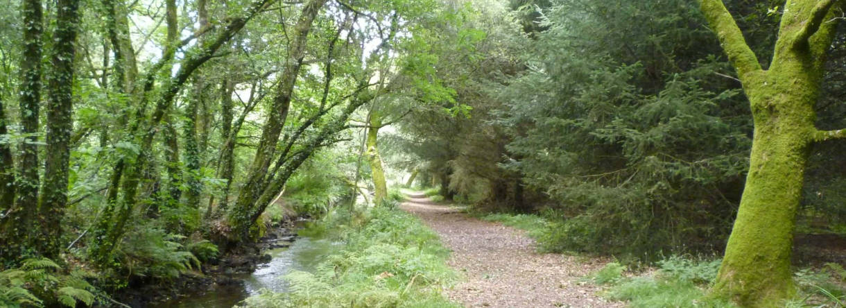 La rivière du Roc'h et son chemin de randonnée à Languidic