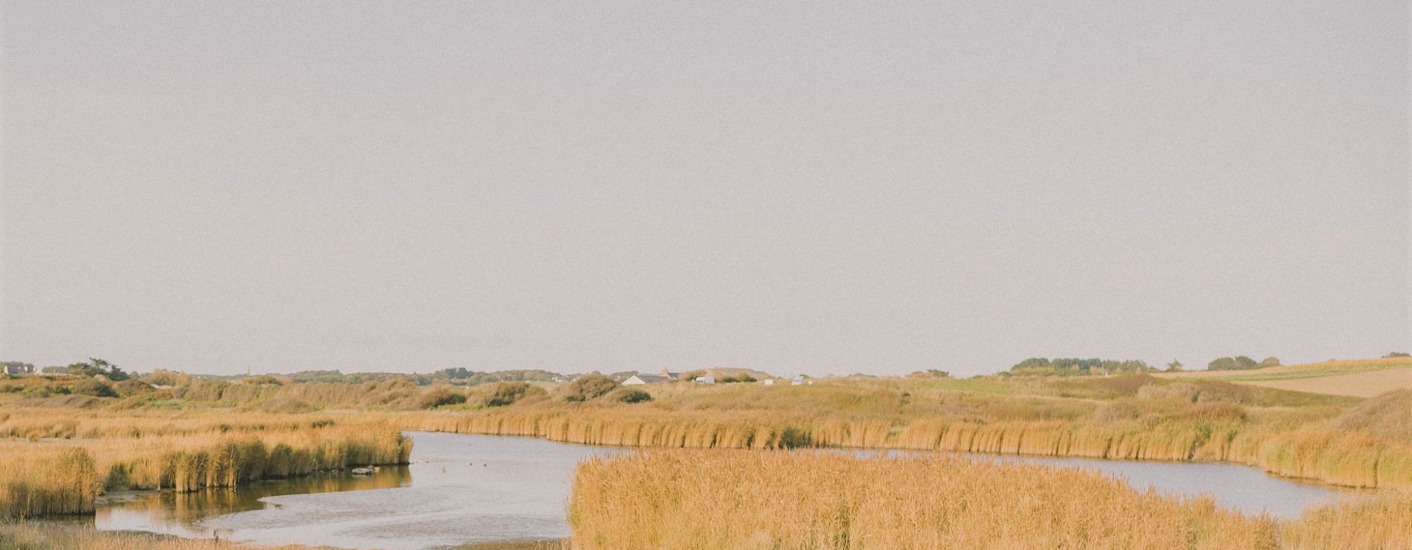 Les étangs du Loch à Guidel (Morbihan)