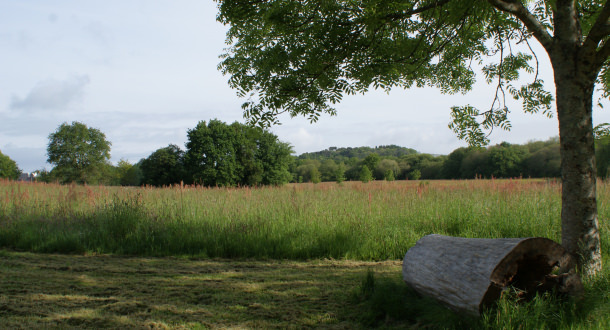 Rondin de bois dans la parc de Kerzec à Quéven