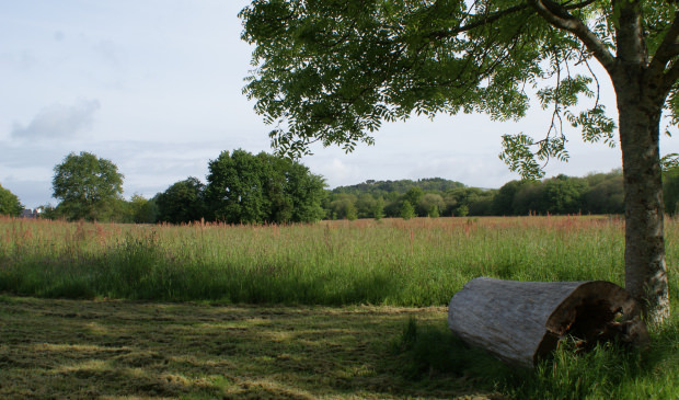 Rondin de bois dans la parc de Kerzec à Quéven