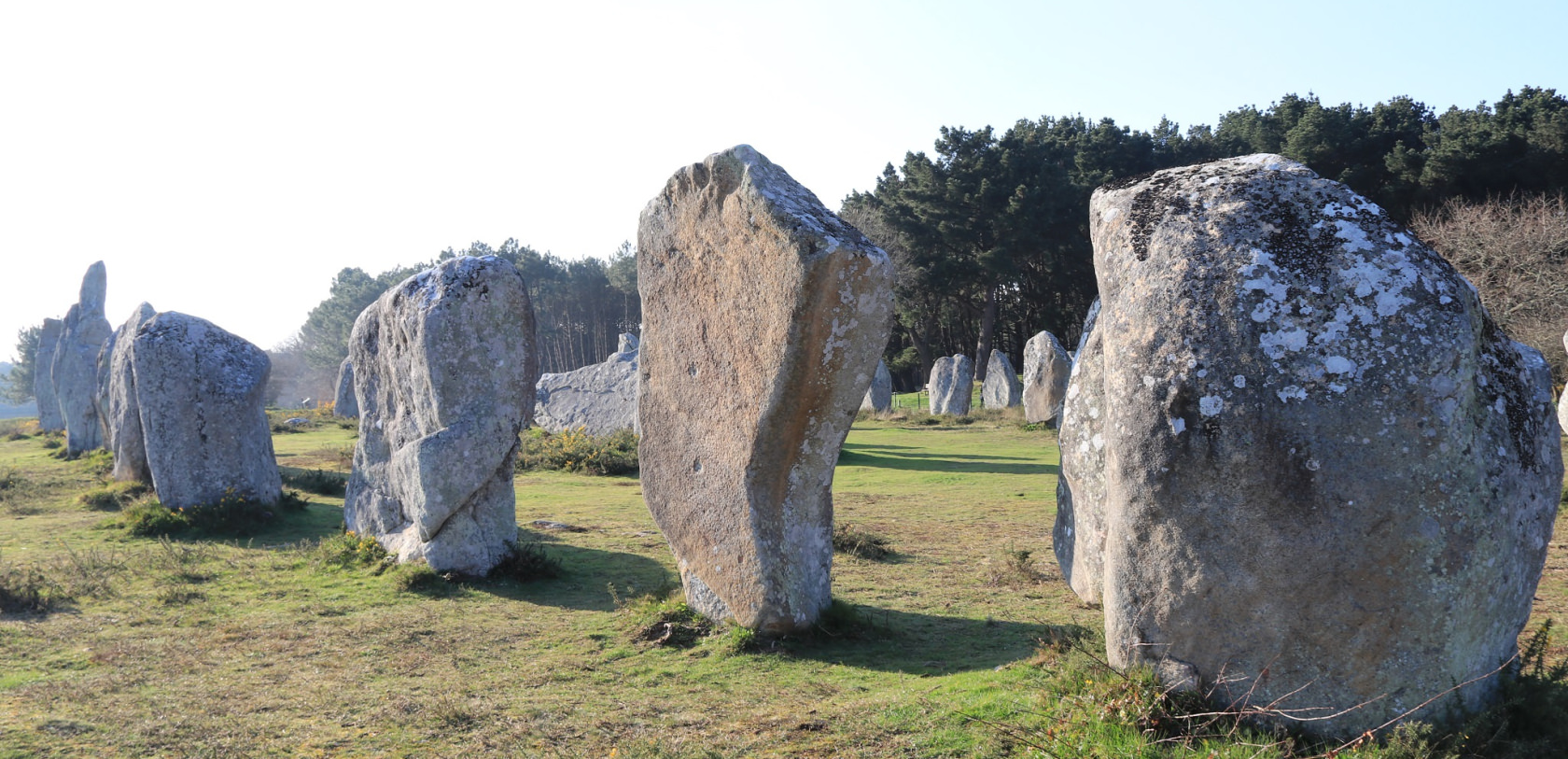 Alignement de menhirs à Carnac (Morbihan)