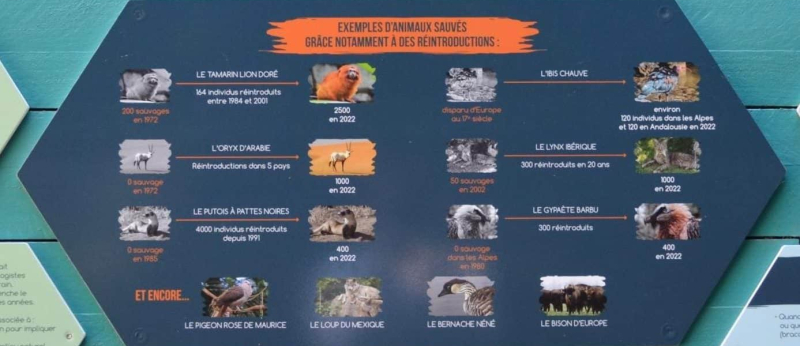Panneau explicatif "Réintroduction des espèces" aux Terres de Nataé, parc animalier à Pont-Scorff (Morbihan)