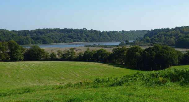 Prairie donnant sur le scorff au Roze, Quéven