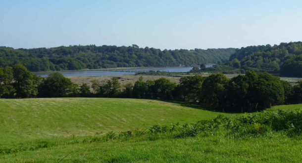 Prairie donnant sur le scorff au Roze, Quéven