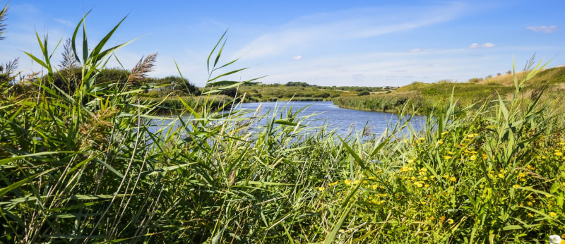 Guidel, l'étang du loch