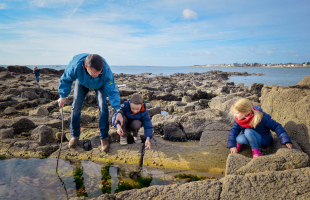 Pêche à pied sur la petite-mer de Gâvres - ©E. LEMEE - LBST