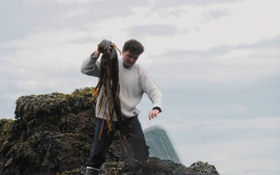 Culture de l'ormeau sur l'Ile de Groix (Morbihan)