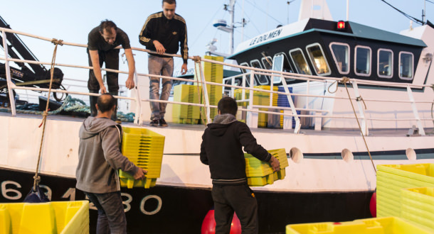 Débarquement de pêche au port de Keroman à Lorient (Morbihan)