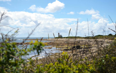 Phare de la pointe des chats vu depuis le sentier côtier de l'île de Groix (Morbihan)