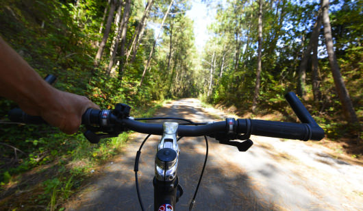 A travers la pinède, à vélo sur la voie verte des kaolins à Ploemeur.