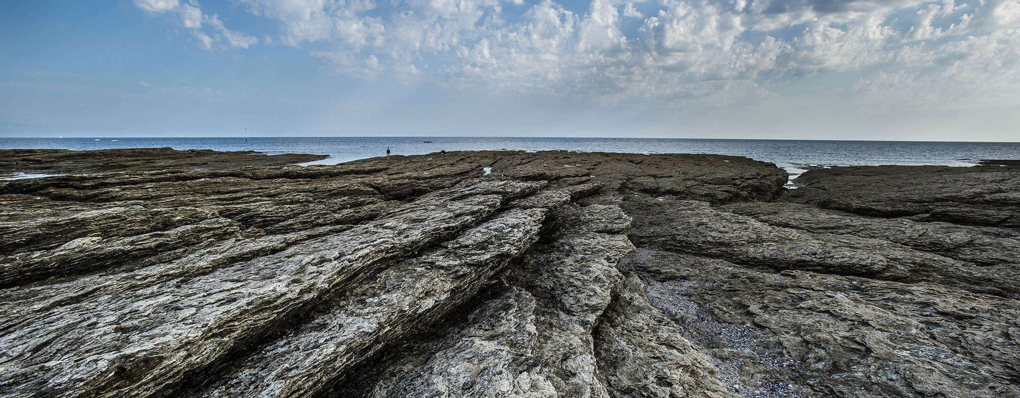 plateau de schiste bleu ou glaucophane de la pointe des chats ile de groix