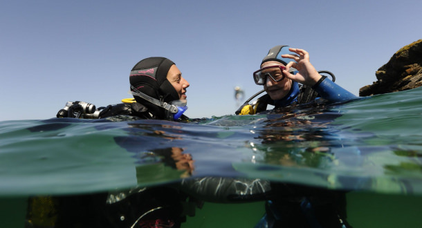 L'île de Groix, spot de plongée - Lorient Bretagne Sud